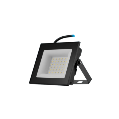 Switched 30W LED Flood Light